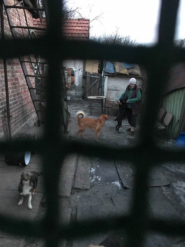 600 литров еды раздаем котам и собакам ежедневно: как живет приют-переселенец из Донецка 06