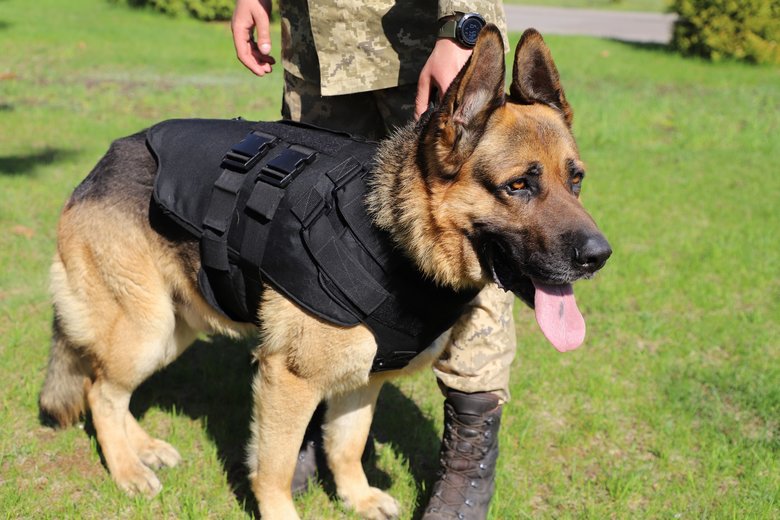 Полицейские-кинологи из США передали пограничникам бронежилеты для служебных собак, - ГПСУ 04
