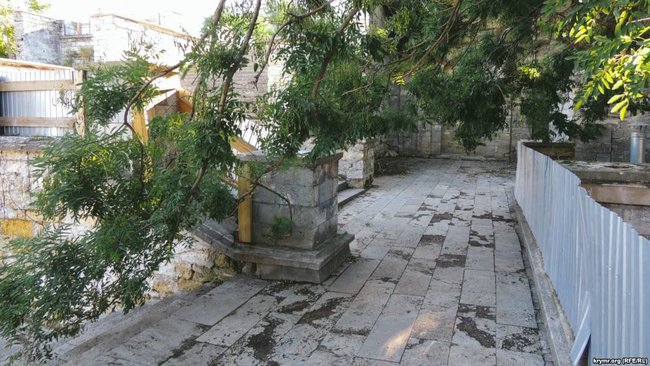 Заросли плюща, бродячие животные и пивные бутылки: в оккупированной Керчи разрушается Митридатская лестница 11