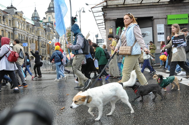 Україна не шкуродерня, - в Киеве состоялся марш защитников животных 07