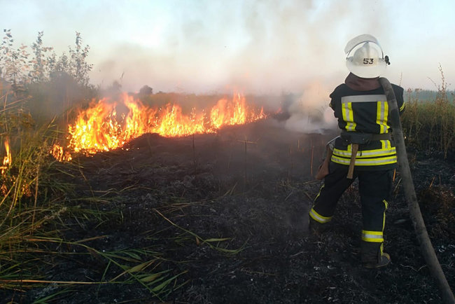 В течение прошедшей недели на водоемах Украины погибли 52 человека, во время пожаров - 18, - ГСЧС 01