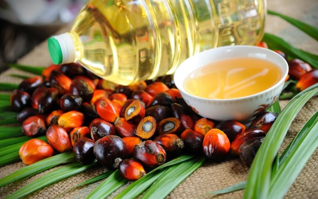 Украина впервые за 4 сезона снизила импорт пальмового масла 