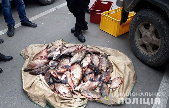 Столичные сотрудники рыбоохраны занимались браконьерством на Черниговщине 02