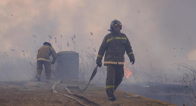 ГСЧС борется с пожарами в плавнях на Одесчине и Николаевщине 01