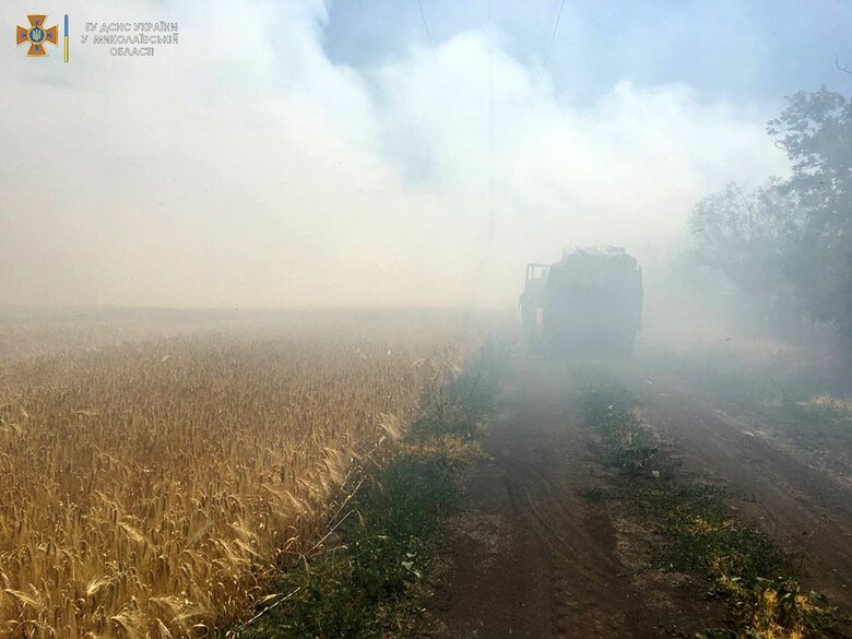 Через ворожі обстріли за останню добу на Миколаївщині згоріло понад 80 гектарів пшениці, - ДСНС 01
