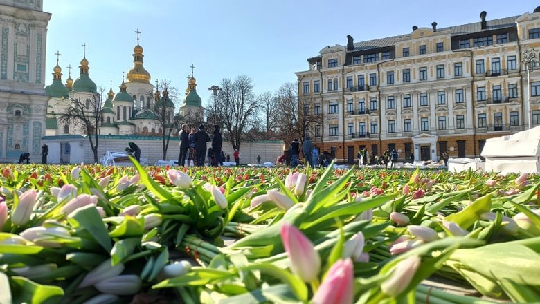На Софійській площі в Києві виклали герб України з 1,5 млн квітів на честь жінок, які допомагають фронту 15