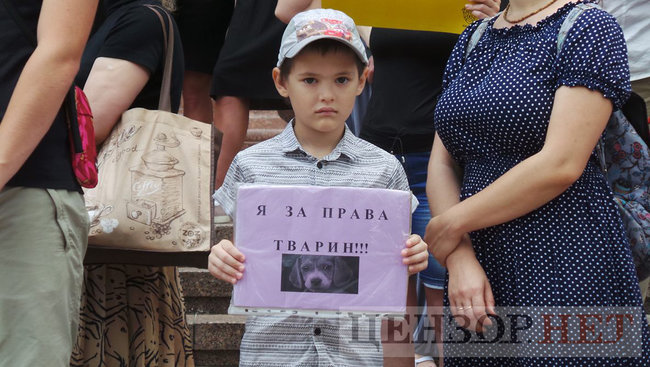 Мы устали от безнаказанности извращенцев: Участники Всеукраинской акции Украина - не живодерня митинговали под КГГА 05