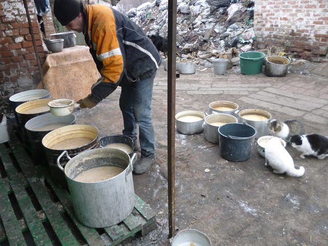 600 литров еды раздаем котам и собакам ежедневно: как живет приют-переселенец из Донецка 07