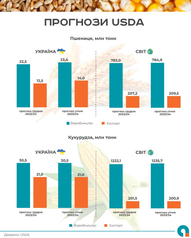 США збільшили прогноз обсягів виробництва та експорту української пшениці 01