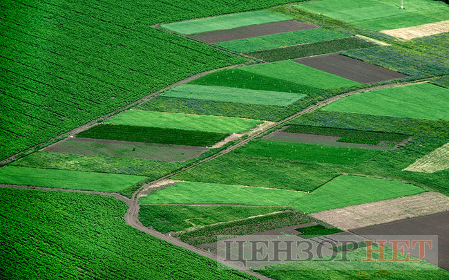 Сельская идиллия, извивающиеся реки и бегущие по полям облака: лето в Украине с высоты птичьего полета 21