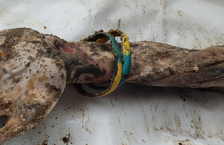 Рука із синьо-жовтими браслетами з поховання в Ізюмі - фрагмент тіла військового з Нікополя, 36-річного бійця 93-ї бригади Холодний Яр Сергія Сови 01