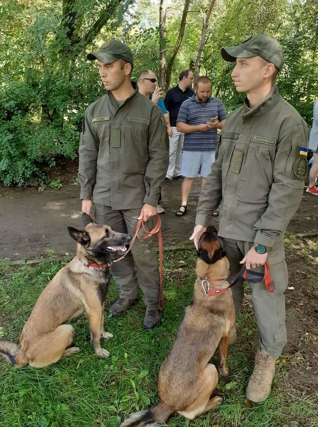 Во Львове наградили собак, служивших вместе с хозяевами в зоне боевых действий на Донбассе 01
