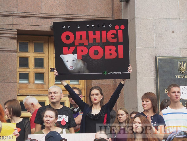Мы устали от безнаказанности извращенцев: Участники Всеукраинской акции Украина - не живодерня митинговали под КГГА 14