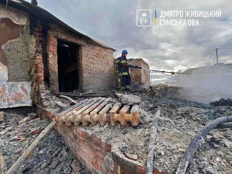 Russians shelled a farm in Sumy Oblast: 02 animals were killed