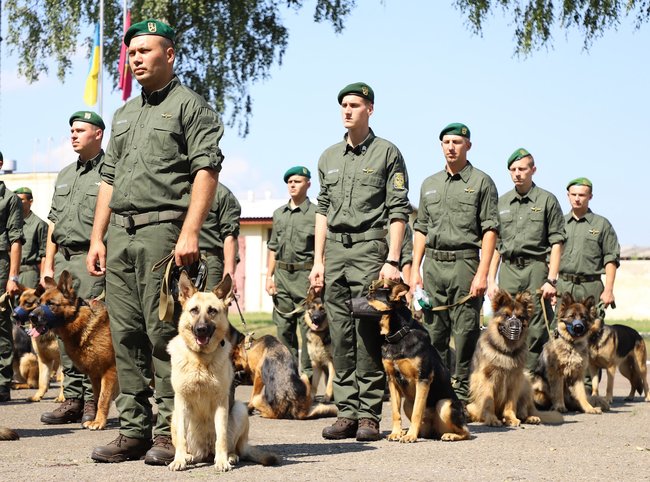 Пограничники-кинологи со служебными собаками впервые примут участие в параде на День Независимости 01