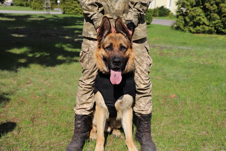 Полицейские-кинологи из США передали пограничникам бронежилеты для служебных собак, - ГПСУ 05