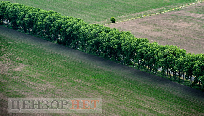 Сельская идиллия, извивающиеся реки и бегущие по полям облака: лето в Украине с высоты птичьего полета 20