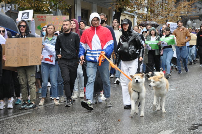 Україна не шкуродерня, - в Киеве состоялся марш защитников животных 09