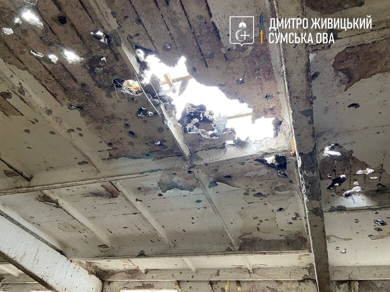 Russians shelled a farm in Sumy Oblast: 08 animals were killed