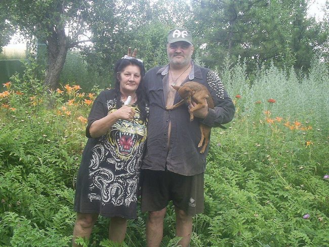 600 литров еды раздаем котам и собакам ежедневно: как живет приют-переселенец из Донецка 01