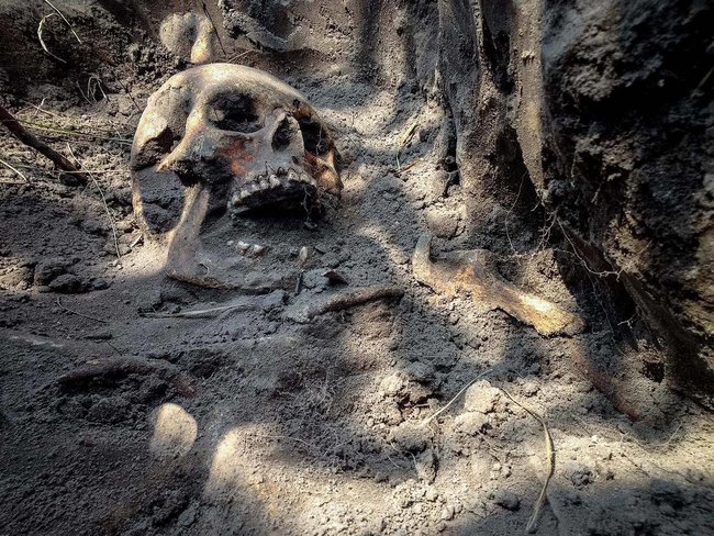 Заколоті багнетами, проколоті шаблями: на Житомирщині знайшли масове поховання 170 жертв більшовицького терору, майже 120 з них - діти 02
