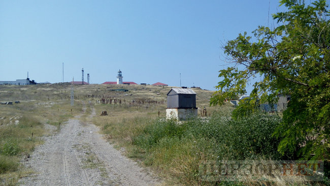 Древний маяк, горы мидий и самое чистое в Украине море: жизнь острова Змеиного 21