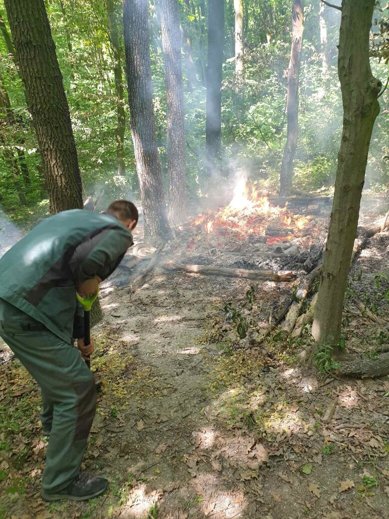 Неизвестные несколько дней подряд поджигают деревья в Голосеевском районе 05