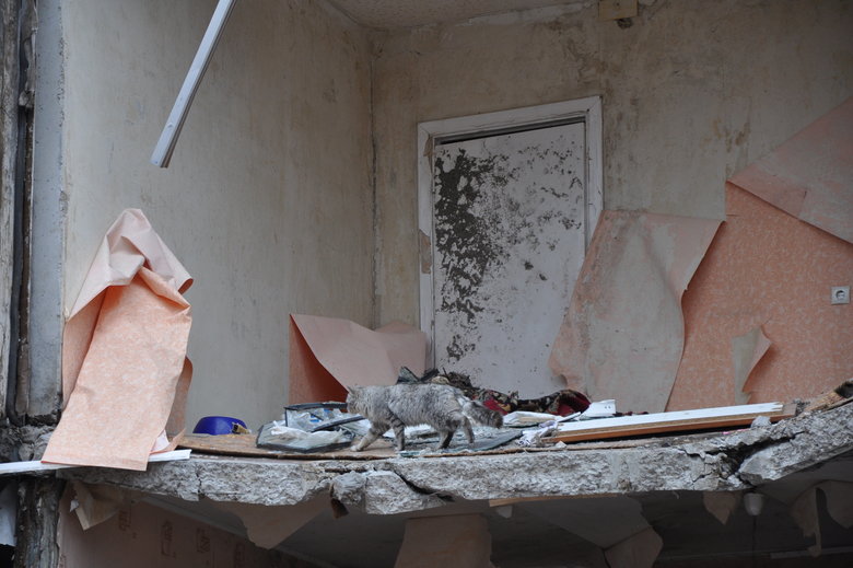 Несколькометровые воронки и разрушенные дома: последствия обстрела Чернигова российскими оккупантами 37