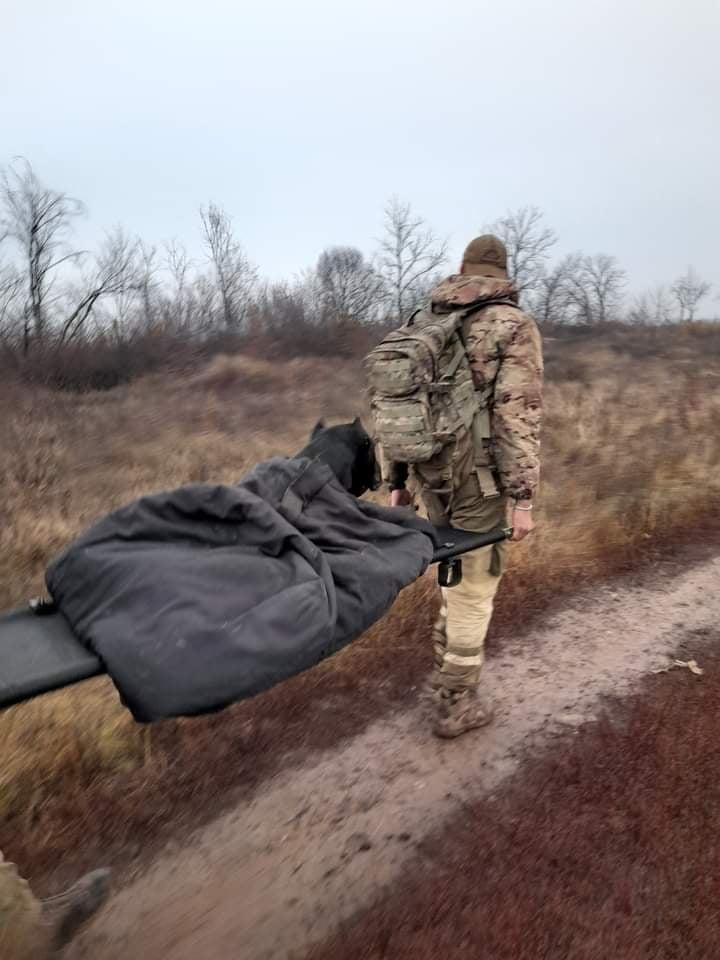 Отгрыз лапу и пришел на трех: Служебный пес ВСУ попал в ловушку перед окопами войск РФ на Донбассе, но смог убежать 03