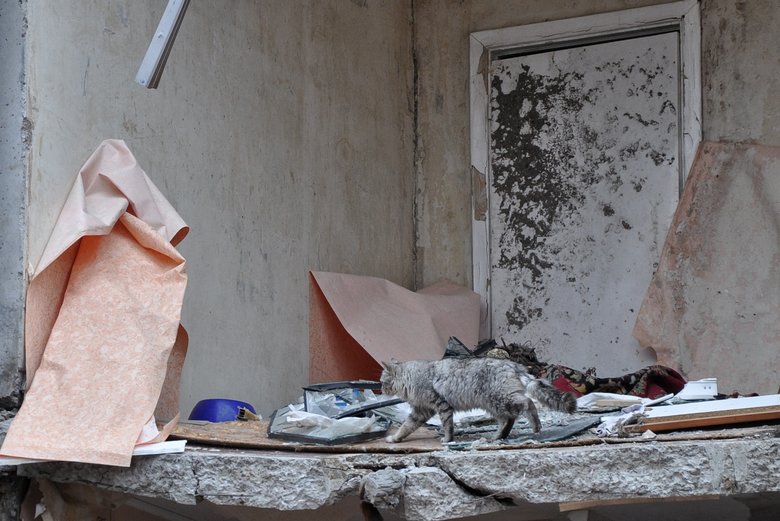 Несколькометровые воронки и разрушенные дома: последствия обстрела Чернигова российскими оккупантами 36
