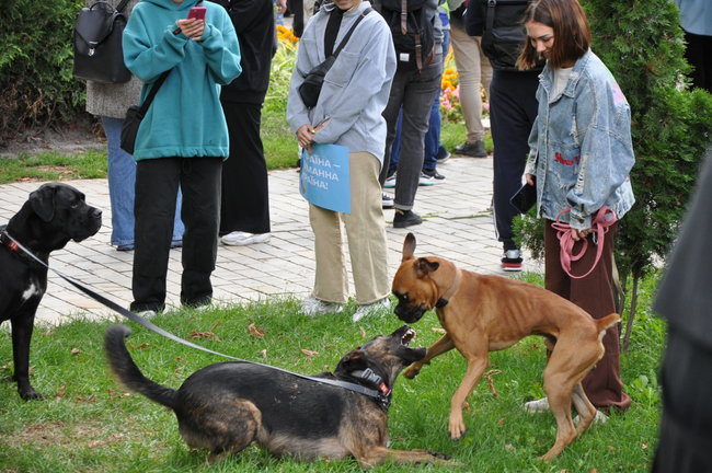 Україна не шкуродерня, - в Киеве состоялся марш защитников животных 12