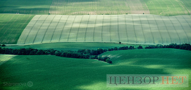 Сельская идиллия, извивающиеся реки и бегущие по полям облака: лето в Украине с высоты птичьего полета 10