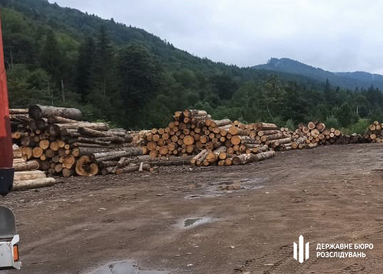 На территории заповедного фонда на Буковине незаконно вырубили деревьев более чем на 3 млн грн, - ГБР 04