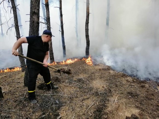 Пожар на Луганщине: подтверждена гибель 5 человек, 9 - госпитализированы, сгорели 103 дома, - ГСЧС 01