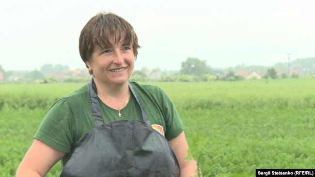 Чеські фермери готові оплачувати працівникам з України тести на COVID-19 01