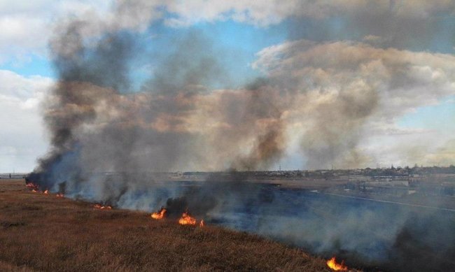 ГСЧС борется с пожарами в плавнях на Одесчине и Николаевщине 02