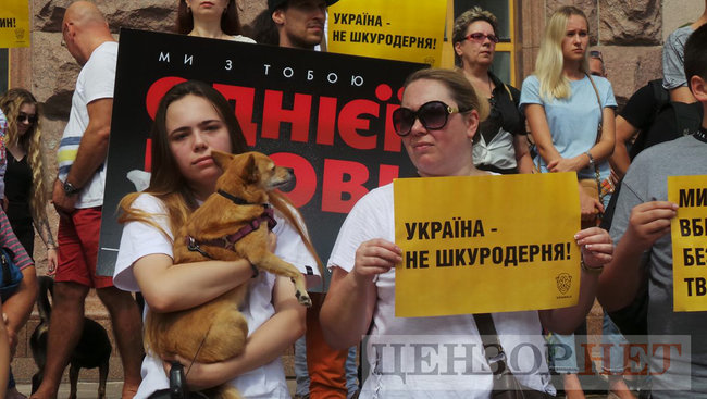 Мы устали от безнаказанности извращенцев: Участники Всеукраинской акции Украина - не живодерня митинговали под КГГА 15