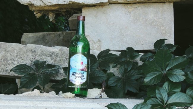 Заросли плюща, бродячие животные и пивные бутылки: в оккупированной Керчи разрушается Митридатская лестница 10