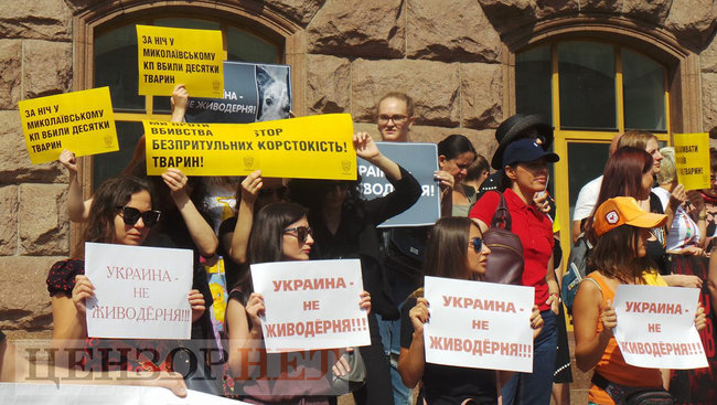Мы устали от безнаказанности извращенцев: Участники Всеукраинской акции Украина - не живодерня митинговали под КГГА 17