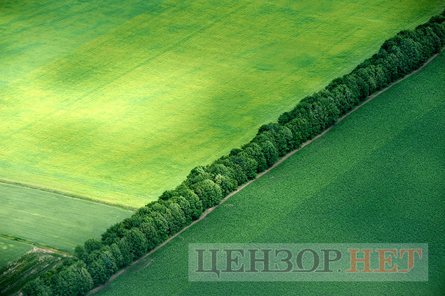 Сельская идиллия, извивающиеся реки и бегущие по полям облака: лето в Украине с высоты птичьего полета 14
