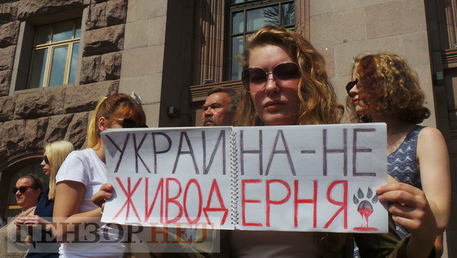 Мы устали от безнаказанности извращенцев: Участники Всеукраинской акции Украина - не живодерня митинговали под КГГА 16