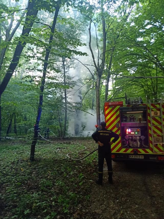 Неизвестные несколько дней подряд поджигают деревья в Голосеевском районе 03