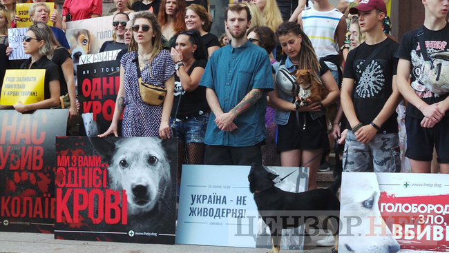 Мы устали от безнаказанности извращенцев: Участники Всеукраинской акции Украина - не живодерня митинговали под КГГА 13
