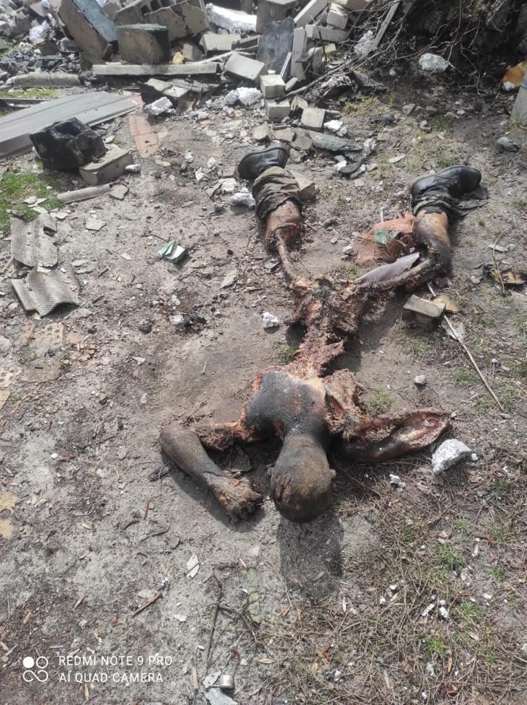 Обїдені собаками російські окупанти, яких знищили воїни 72-ї бригади у боях за Мощун на Київщині 07