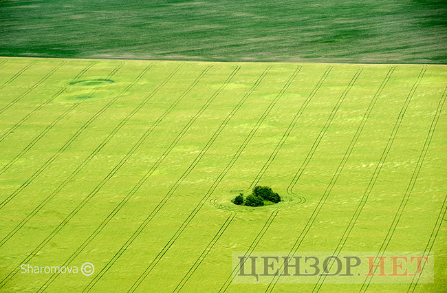 Сельская идиллия, извивающиеся реки и бегущие по полям облака: лето в Украине с высоты птичьего полета 01