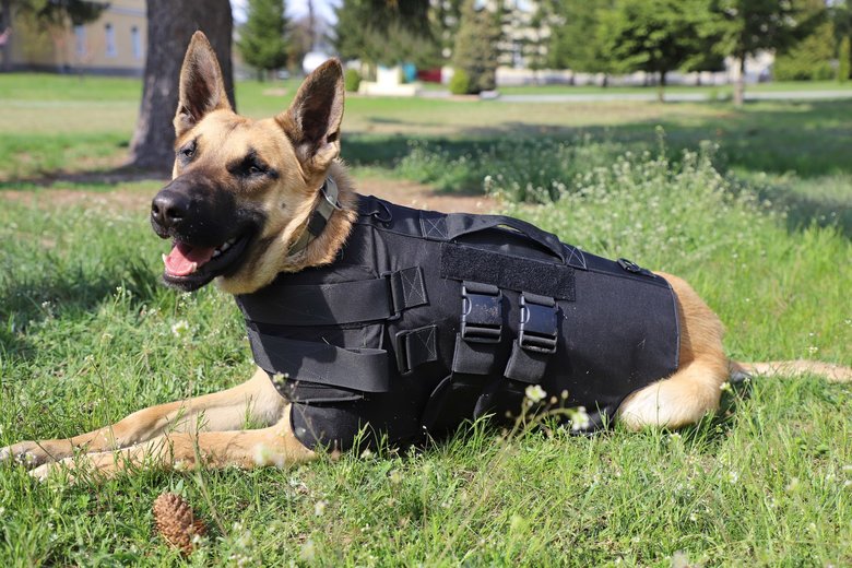 Полицейские-кинологи из США передали пограничникам бронежилеты для служебных собак, - ГПСУ 03