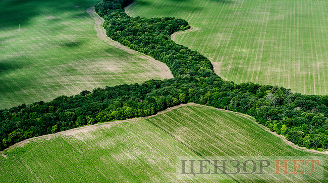 Сельская идиллия, извивающиеся реки и бегущие по полям облака: лето в Украине с высоты птичьего полета 09