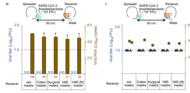 Как маски защищают от COVID-19: японские ученые провели испытания с настоящим коронавирусом 07