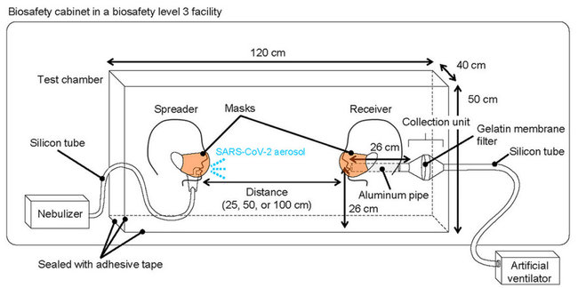 Как маски защищают от COVID-19: японские ученые провели испытания с настоящим коронавирусом 01