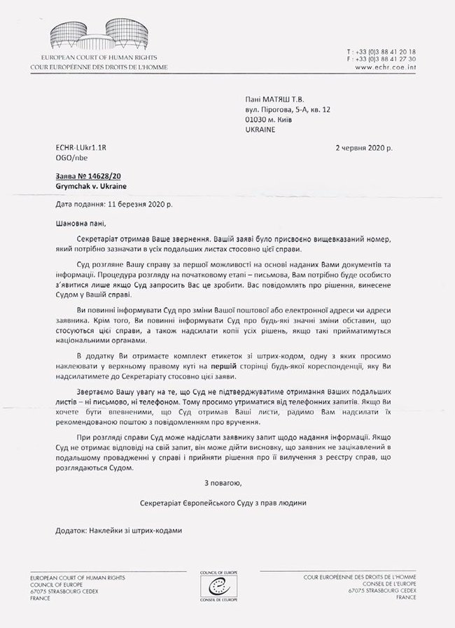 Гримчак подал иск против Украины в ЕСПЧ 01